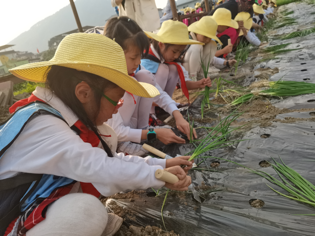 /website-webapp/ewebeditor/uploadfile/20230410103735996007