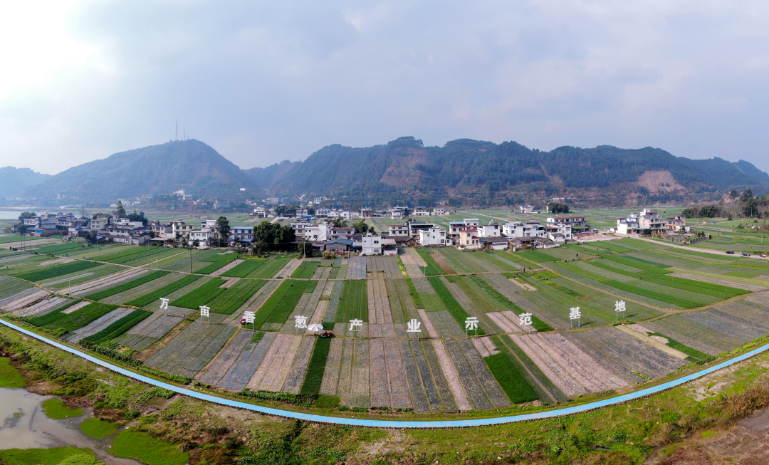 /website-webapp/ewebeditor/uploadfile/20230410103724735001