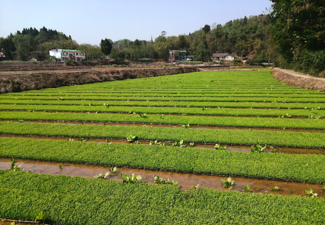 /website-webapp/ewebeditor/uploadfile/20230417101025836005