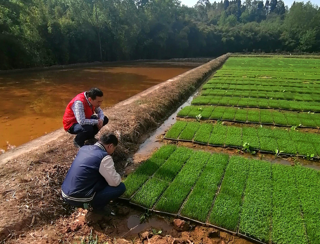 /website-webapp/ewebeditor/uploadfile/20230417101023456004