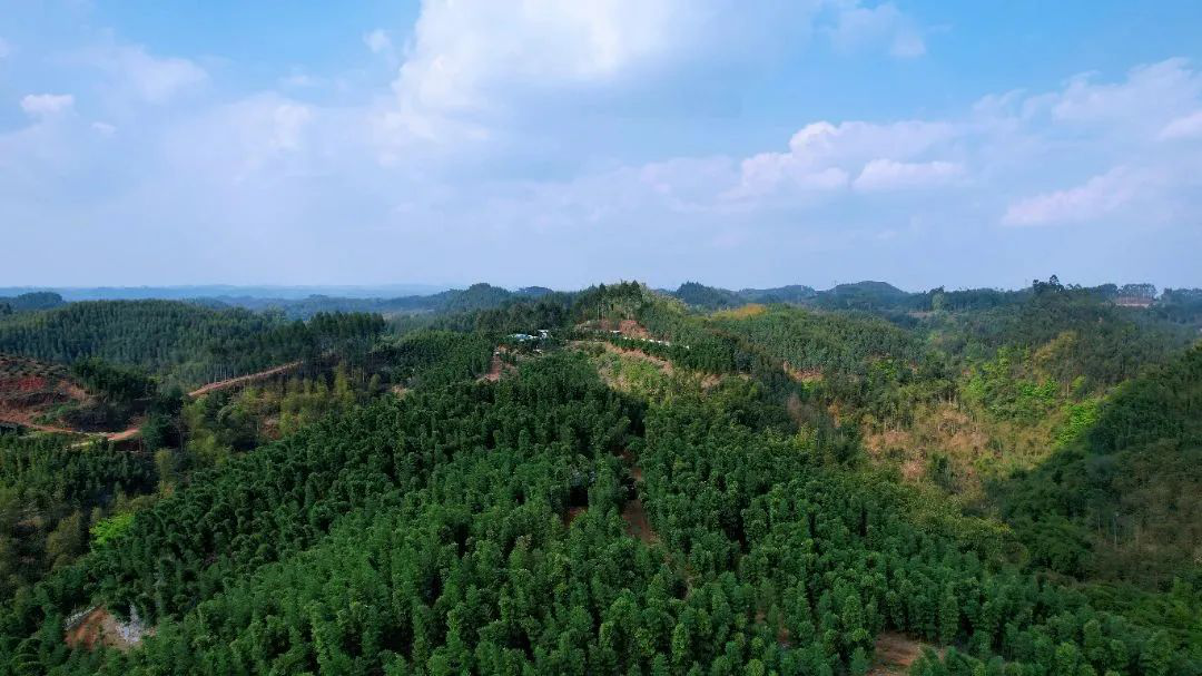 /website-webapp/ewebeditor/uploadfile/20230331100119654007