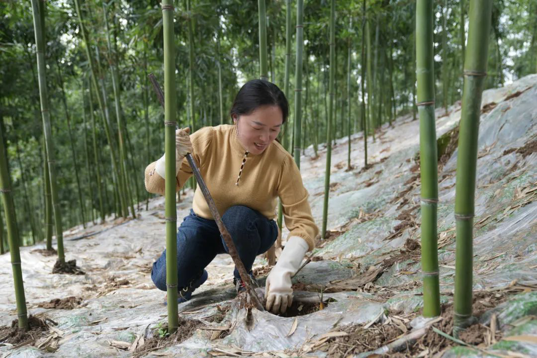 /website-webapp/ewebeditor/uploadfile/20230331100123279009