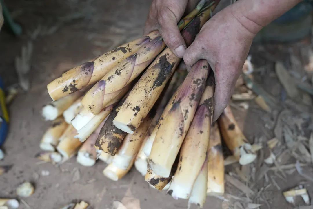 /website-webapp/ewebeditor/uploadfile/20230331100121113008