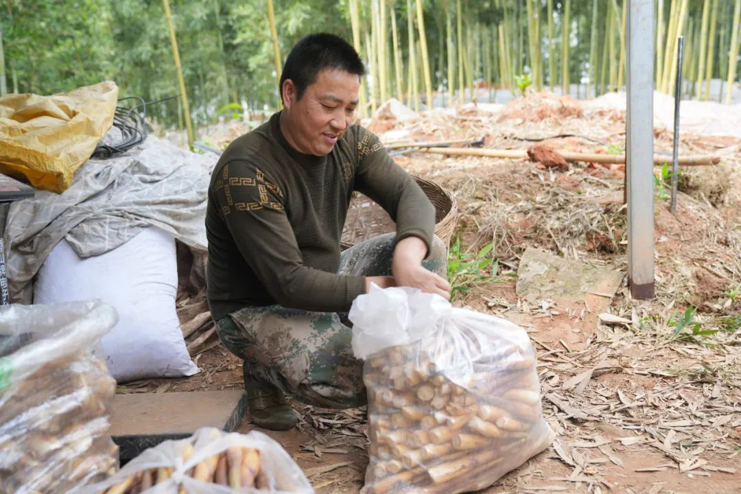 /website-webapp/ewebeditor/uploadfile/20230331100124704010