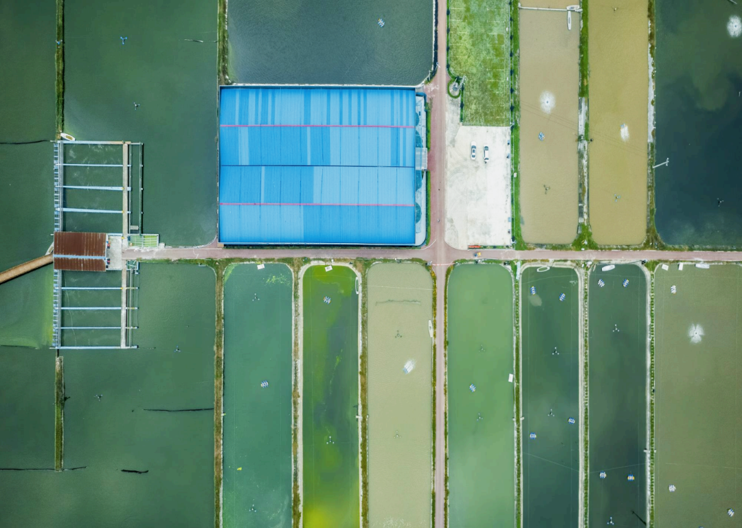 /website-webapp/ewebeditor/uploadfile/20230322105451200002