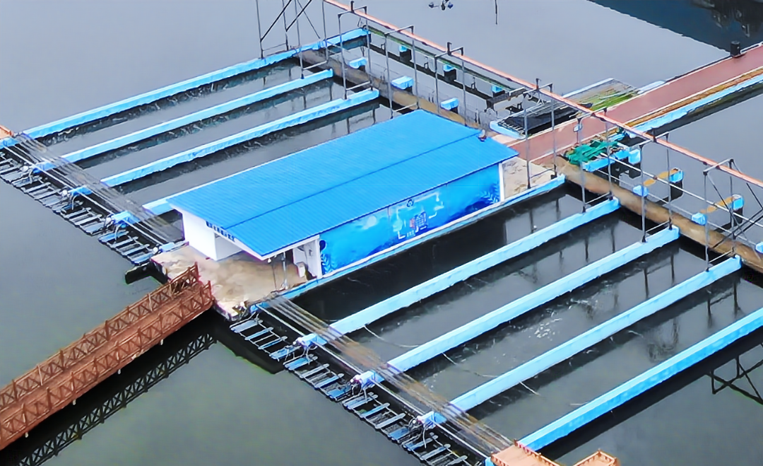 /website-webapp/ewebeditor/uploadfile/20230322105456805004