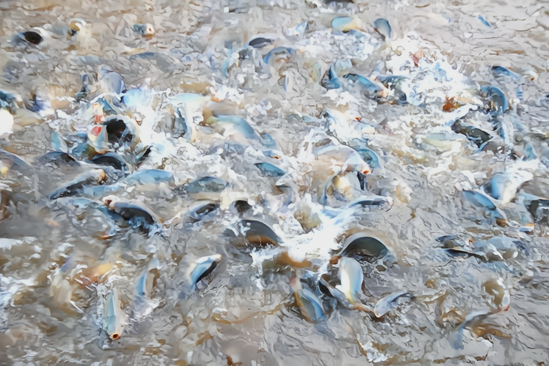 /website-webapp/ewebeditor/uploadfile/20230322105502368006