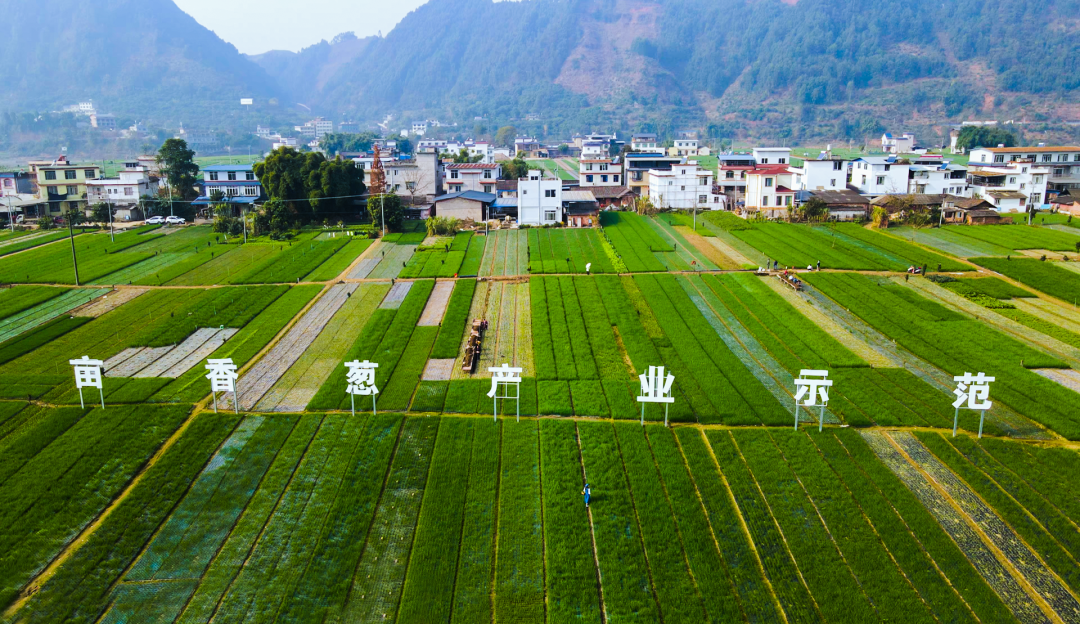 /website-webapp/ewebeditor/uploadfile/20220714114451111003