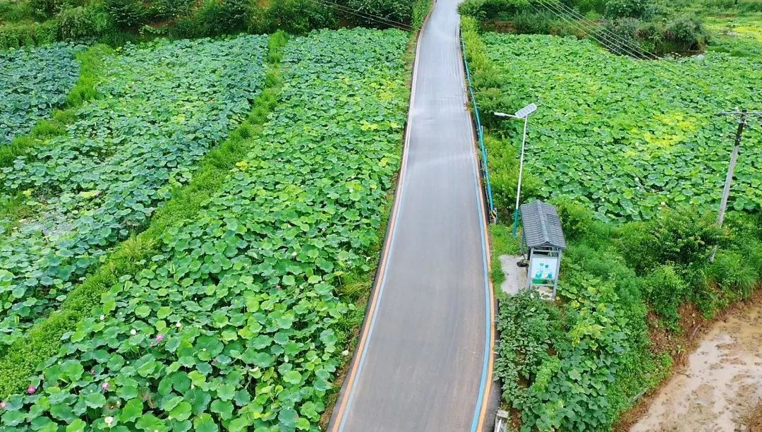 /website-webapp/ewebeditor/uploadfile/20230626104546523007