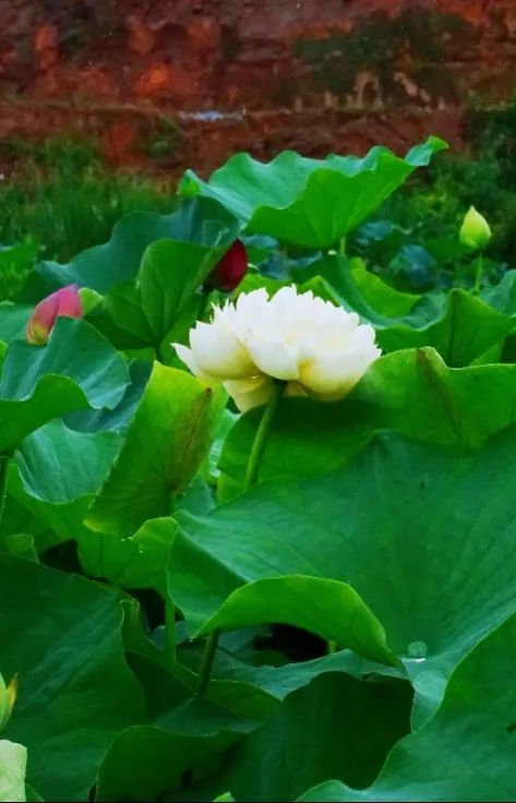 /website-webapp/ewebeditor/uploadfile/20230626104544362005