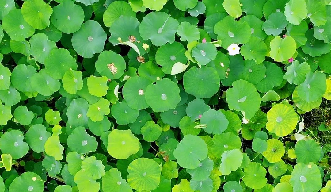 /website-webapp/ewebeditor/uploadfile/20230626104540636002