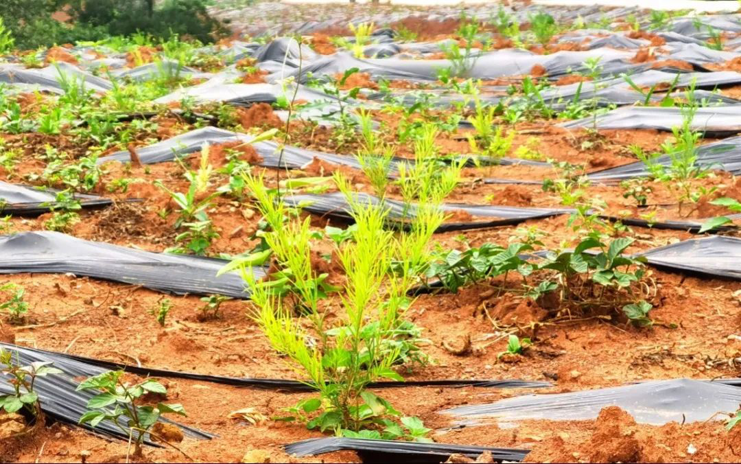 /website-webapp/ewebeditor/uploadfile/20220627112524414003