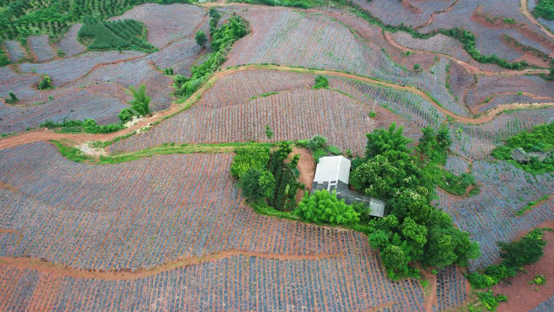 /website-webapp/ewebeditor/uploadfile/20220627112521162002