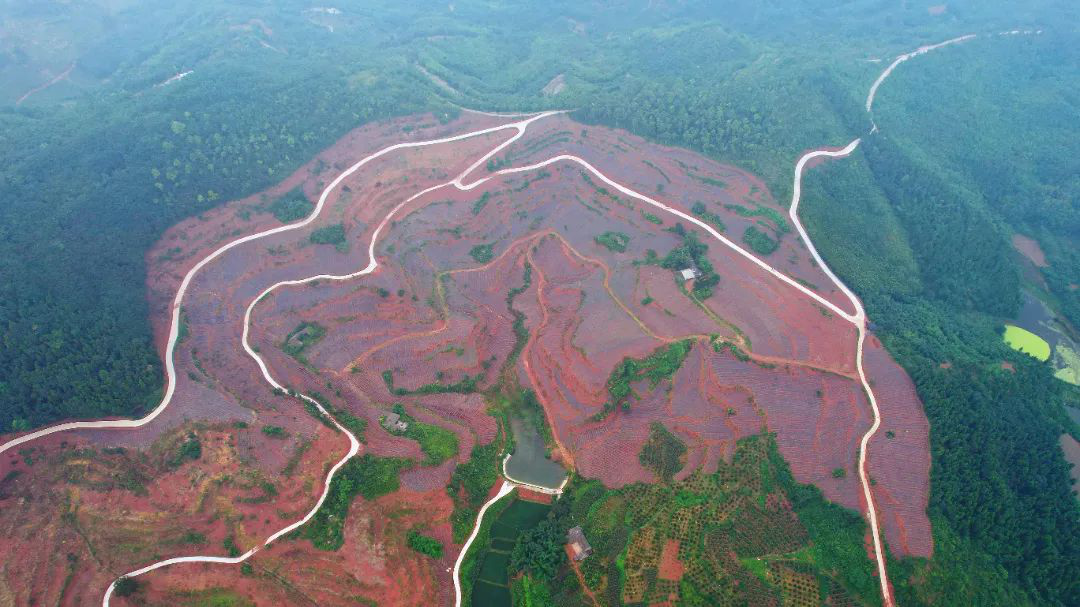 /website-webapp/ewebeditor/uploadfile/20220627112528133005