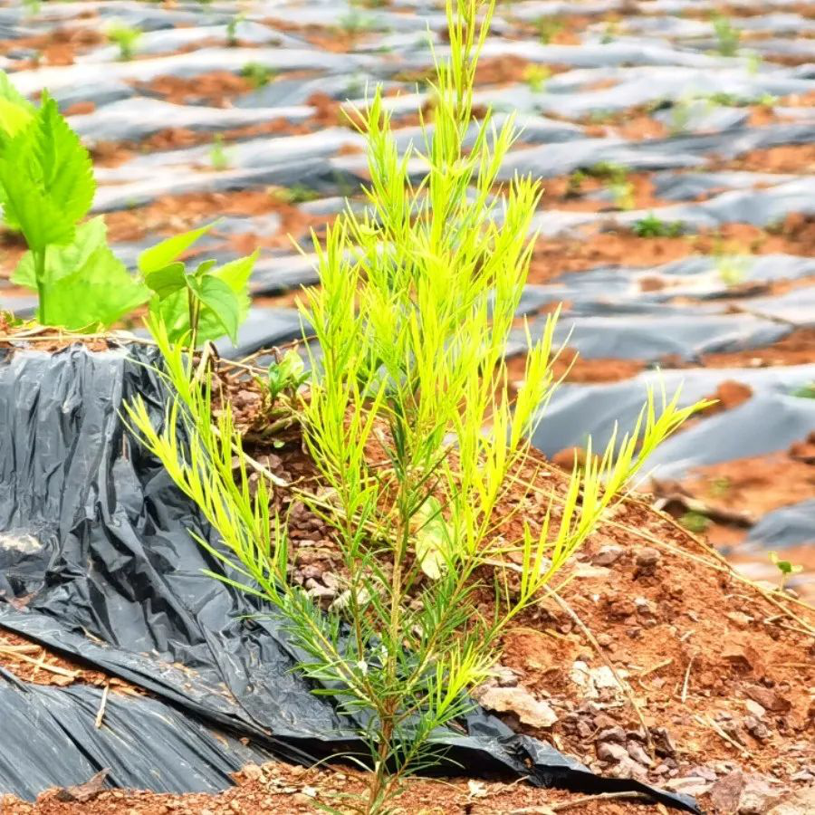 /website-webapp/ewebeditor/uploadfile/20220627112527368004