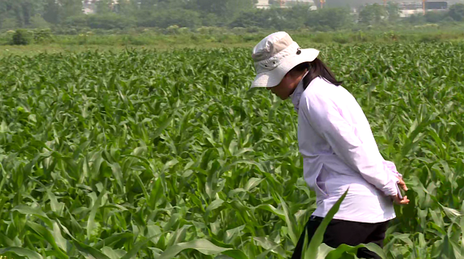 /website-webapp/ewebeditor/uploadfile/20230519090214864002