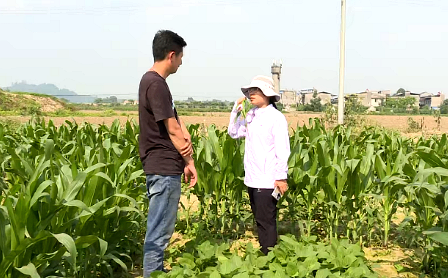 /website-webapp/ewebeditor/uploadfile/20230519090216421003