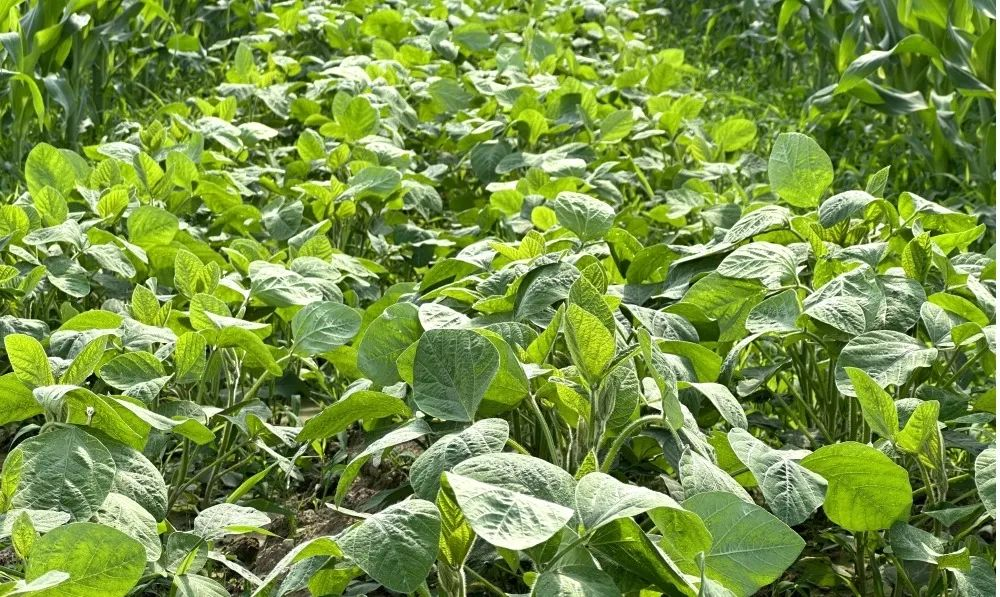 /website-webapp/ewebeditor/uploadfile/20230519090218940005