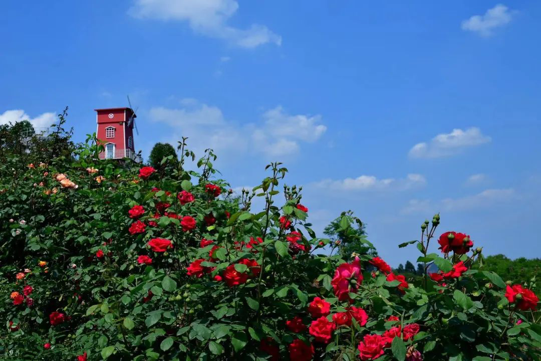 /website-webapp/ewebeditor/uploadfile/20230420095815554006