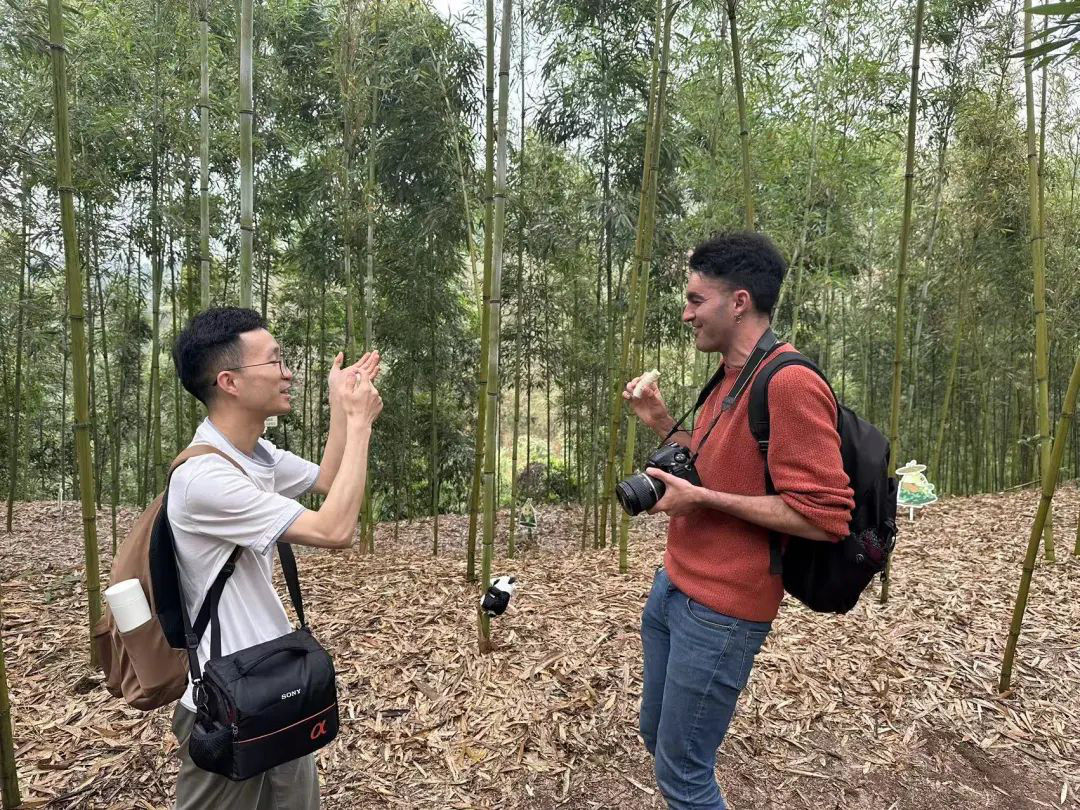 /website-webapp/ewebeditor/uploadfile/20230420095811550003