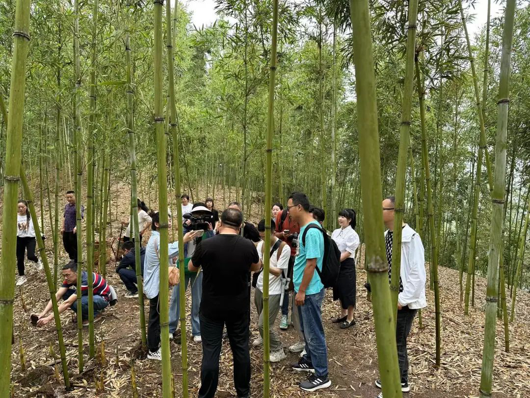 /website-webapp/ewebeditor/uploadfile/20230420095812879004