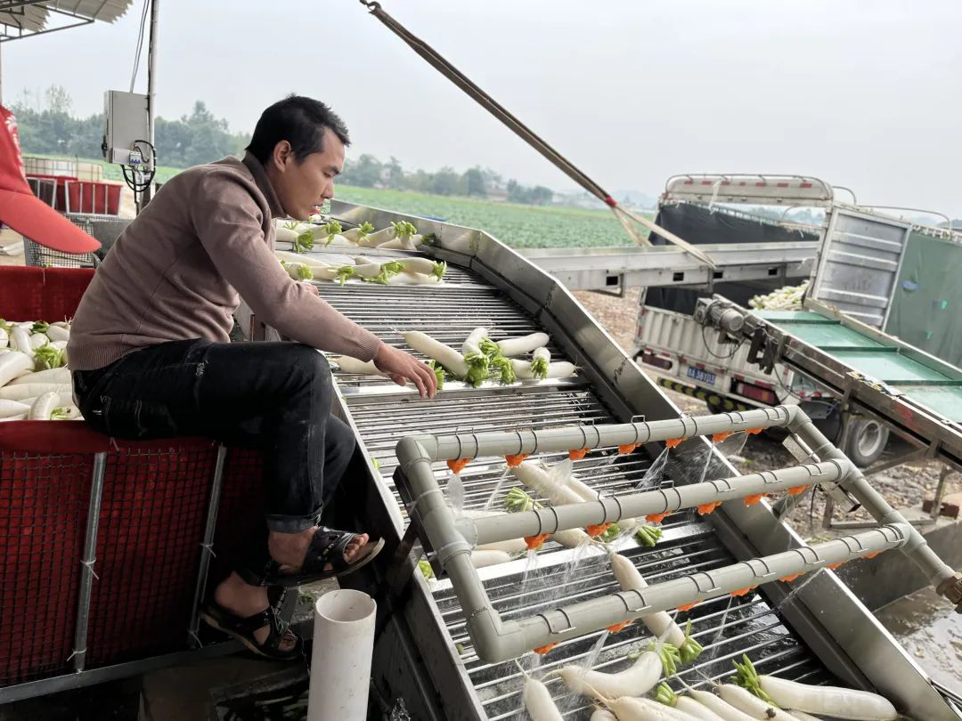 /website-webapp/ewebeditor/uploadfile/20221116151037617001