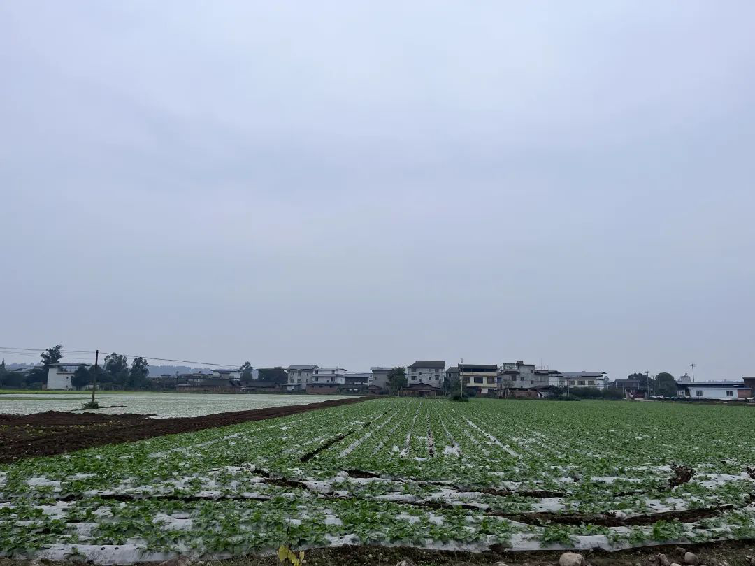 /website-webapp/ewebeditor/uploadfile/20221116151041983003