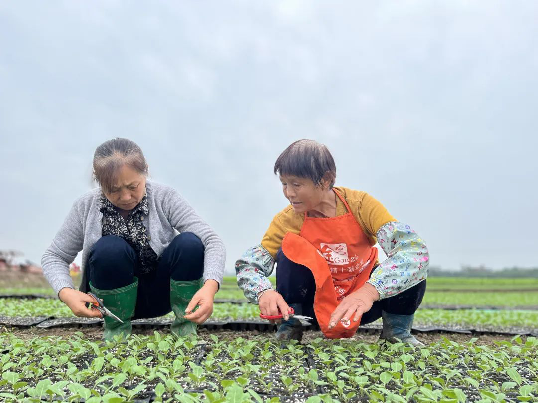 /website-webapp/ewebeditor/uploadfile/20221116151043273004