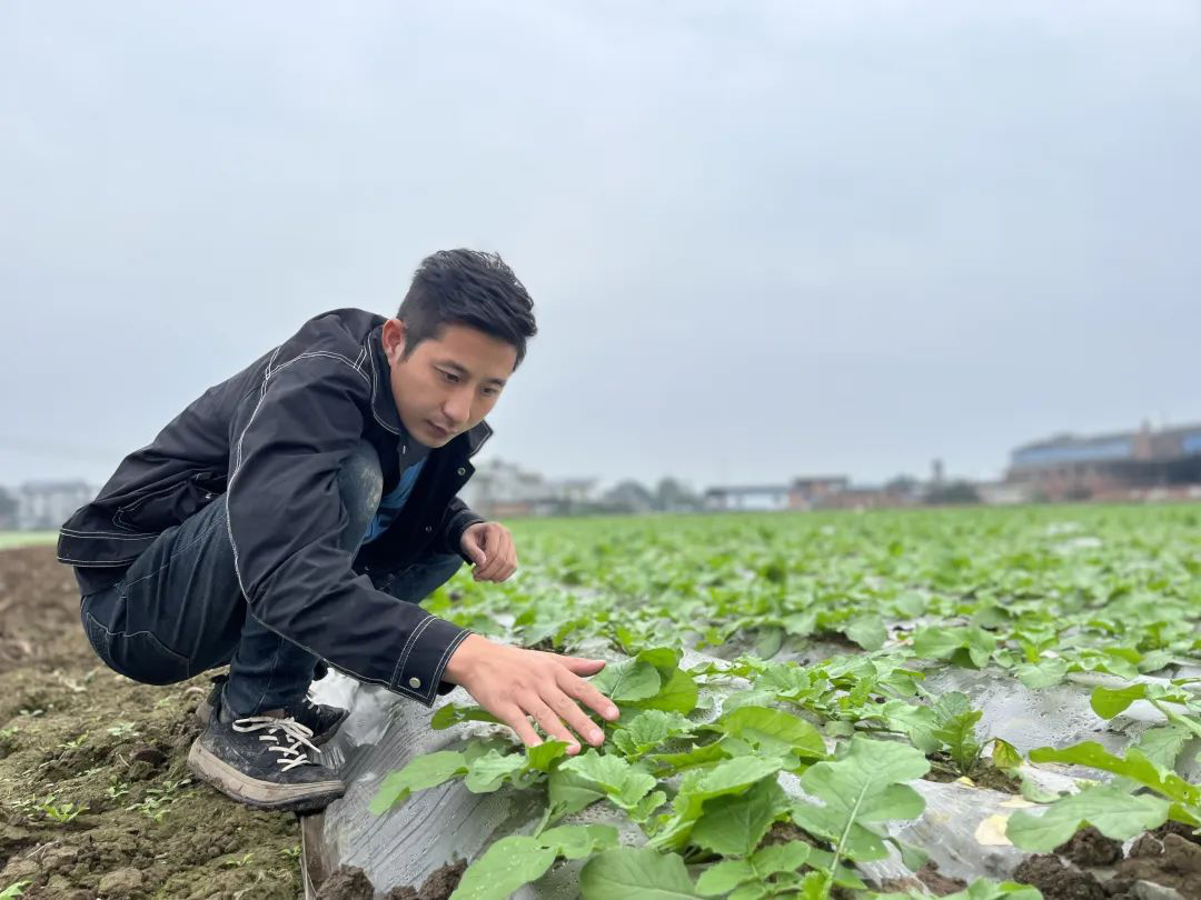 /website-webapp/ewebeditor/uploadfile/20221116151040883002