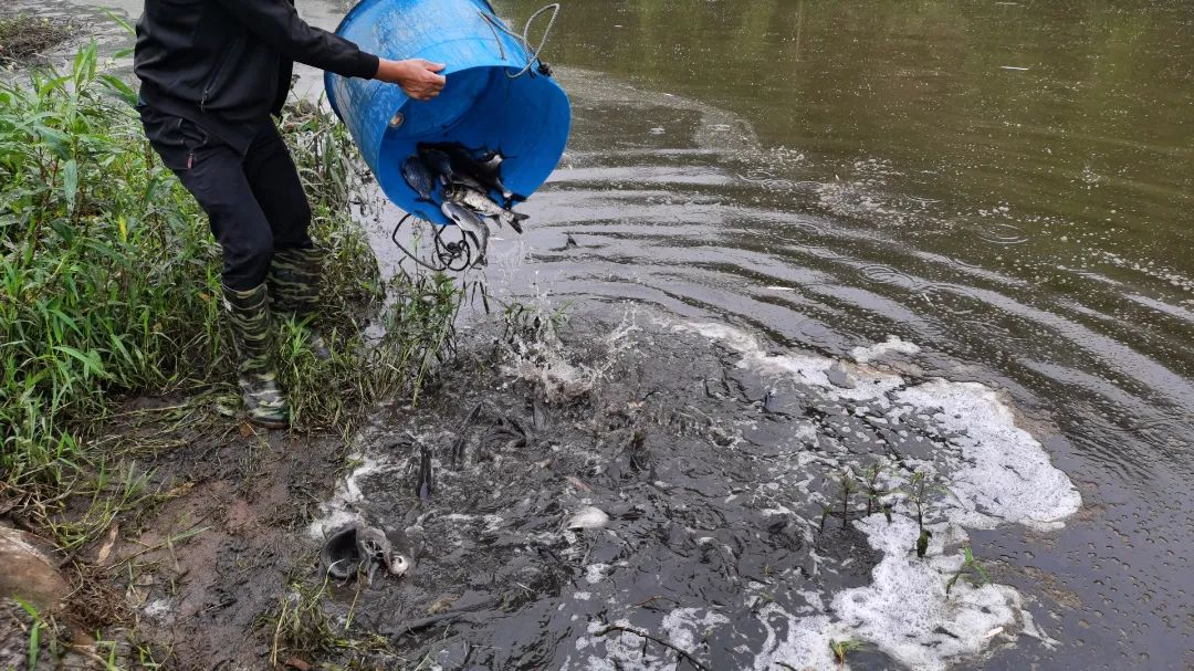 /website-webapp/ewebeditor/uploadfile/20230529090619605003