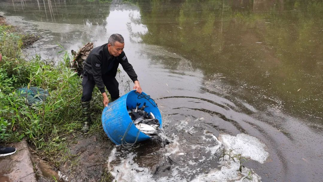 /website-webapp/ewebeditor/uploadfile/20230529090616924001