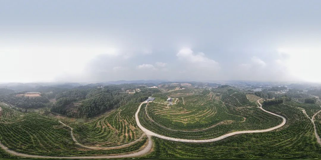 /website-webapp/ewebeditor/uploadfile/20230215170310940003