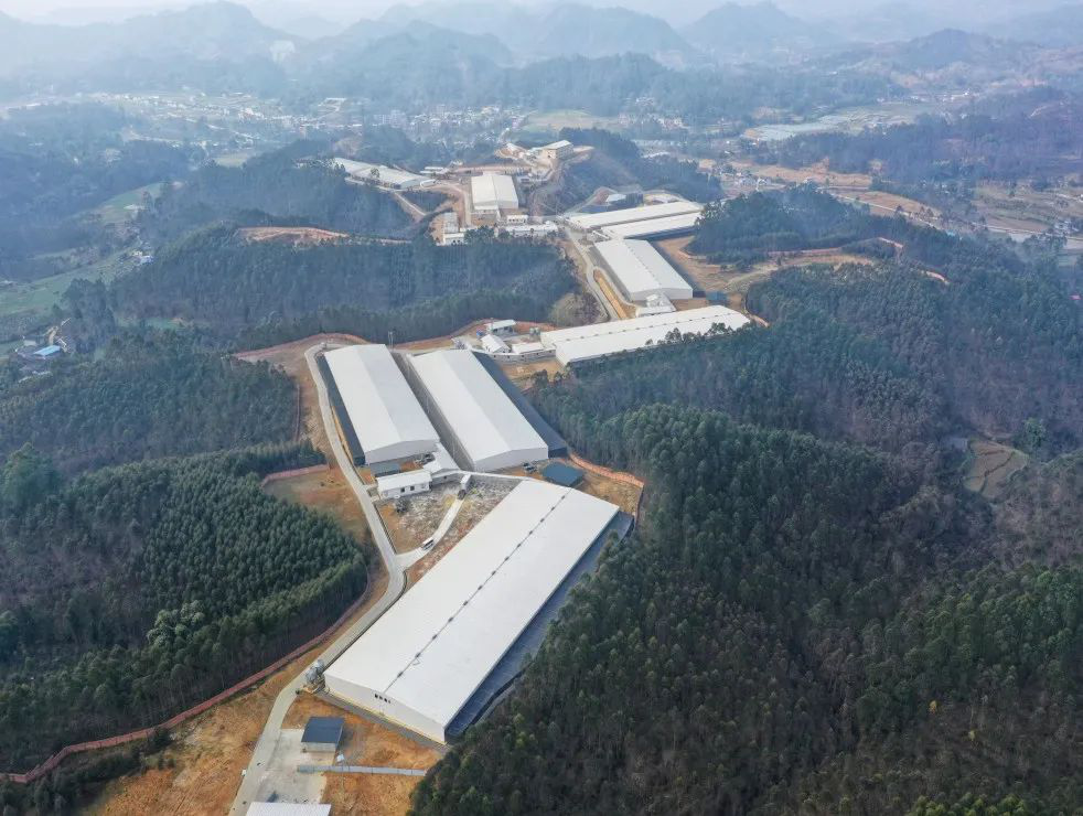 /website-webapp/ewebeditor/uploadfile/20230215170309957002