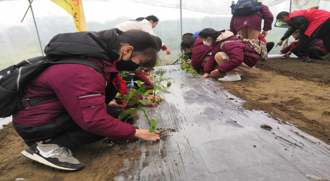 /website-webapp/ewebeditor/uploadfile/20230508100125671005