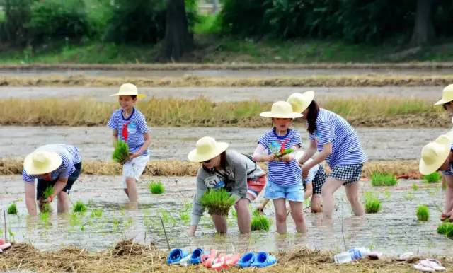 /website-webapp/ewebeditor/uploadfile/20220509113758831006