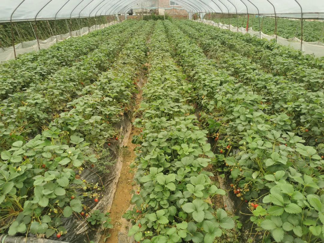 /website-webapp/ewebeditor/uploadfile/20230419103102885001