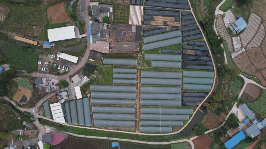 /website-webapp/ewebeditor/uploadfile/20230419103107953004