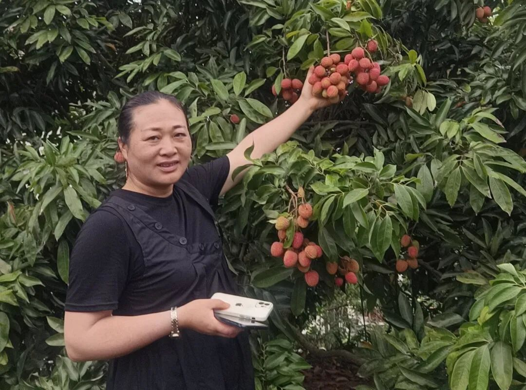 /website-webapp/ewebeditor/uploadfile/20230704101728379003