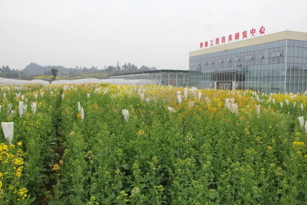 /website-webapp/ewebeditor/uploadfile/20230308102521905001