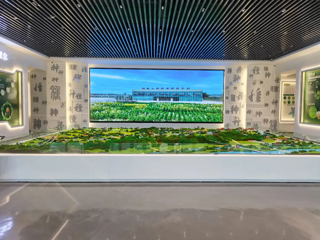 /website-webapp/ewebeditor/uploadfile/20230308102526497002