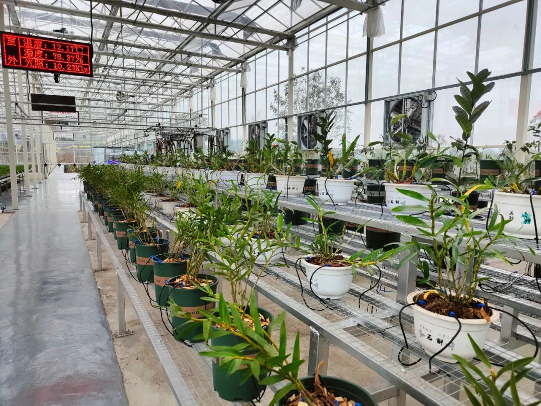 /website-webapp/ewebeditor/uploadfile/20230308102531628005