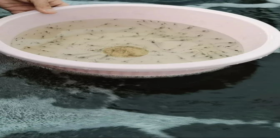 /website-webapp/ewebeditor/uploadfile/20230506104609958003