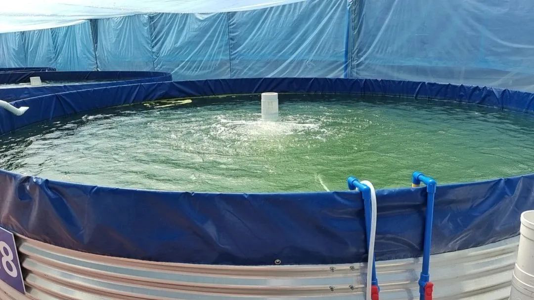 /website-webapp/ewebeditor/uploadfile/20230506104612823004