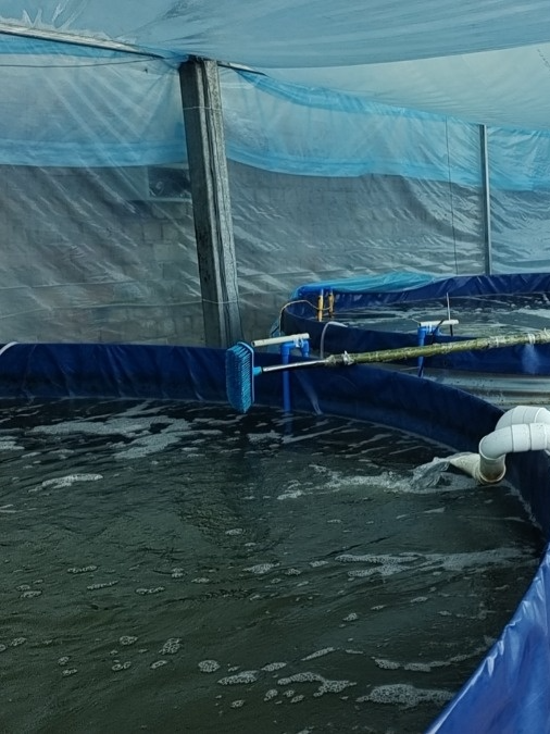 /website-webapp/ewebeditor/uploadfile/20230506104607129002