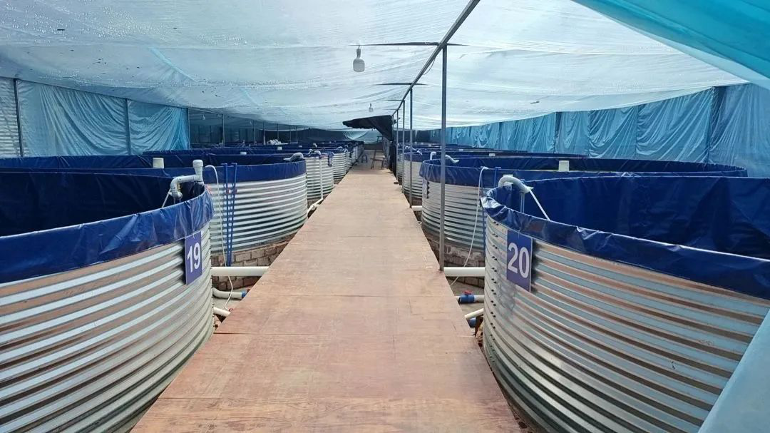 /website-webapp/ewebeditor/uploadfile/20230506104602682001