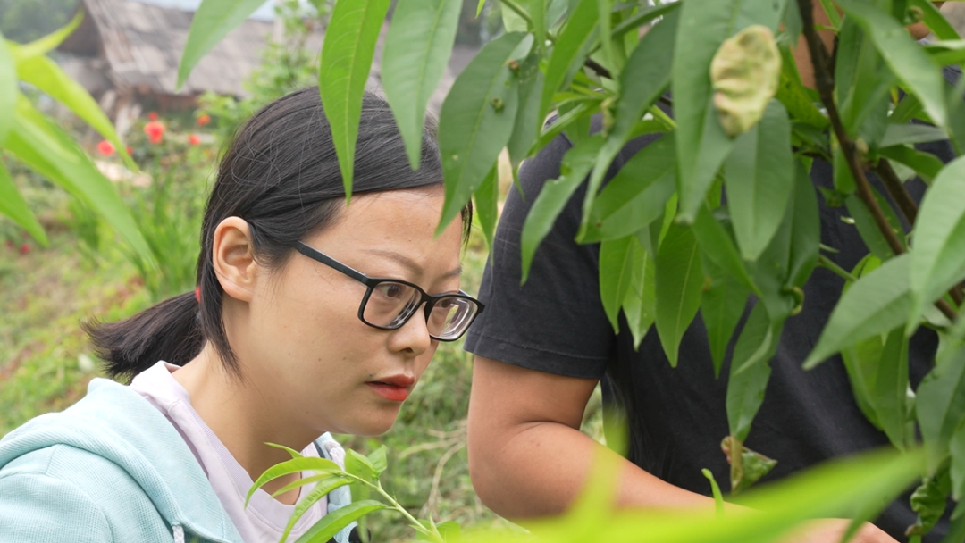 /website-webapp/ewebeditor/uploadfile/20230505094613538006