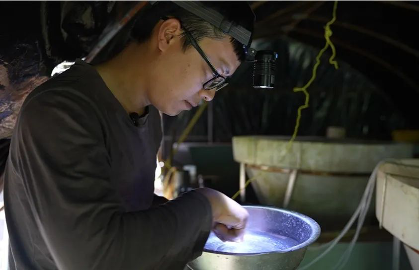 /website-webapp/ewebeditor/uploadfile/20230505094609121004