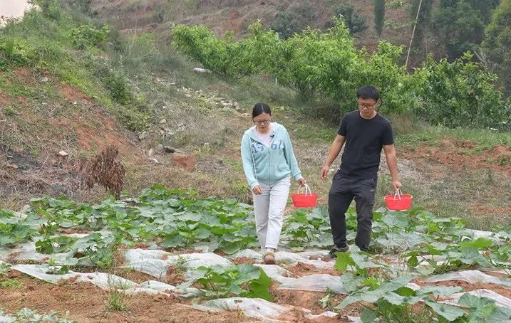 /website-webapp/ewebeditor/uploadfile/20230505094606540002