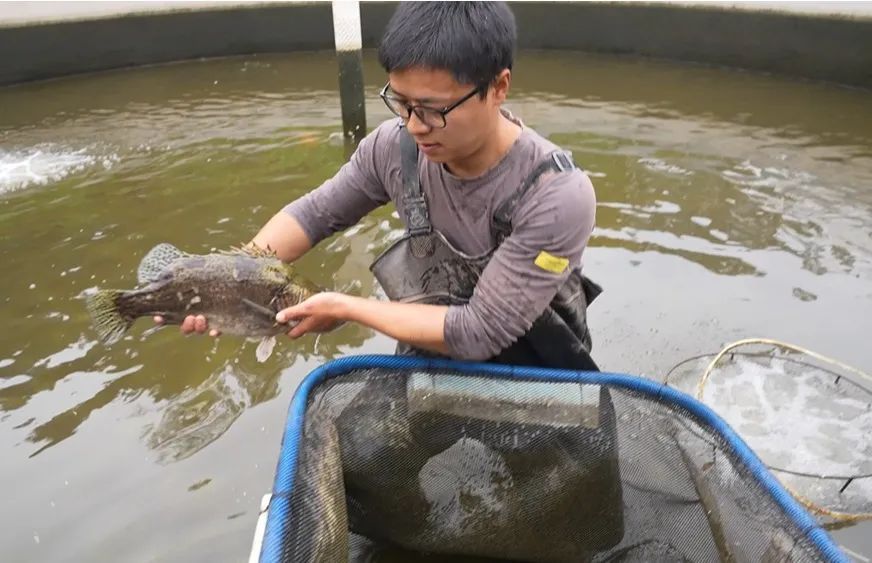 /website-webapp/ewebeditor/uploadfile/20230505094607648003