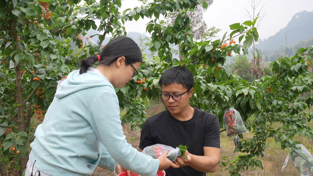 /website-webapp/ewebeditor/uploadfile/20230505094603712001